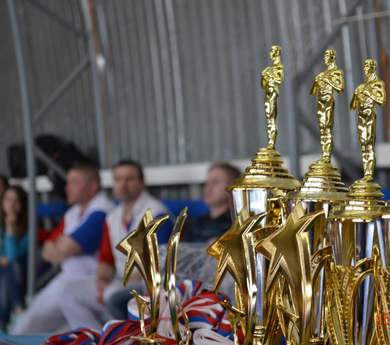15 мая 2016 год  Лично-командный Турнир  ГО Верхний Тагил по САМБО памяти Чемпиона Свердловской области Хутраева Магамы