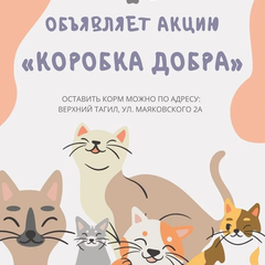 Афиша: Акция "Коробка добра" для кошачьего дома "Крош"