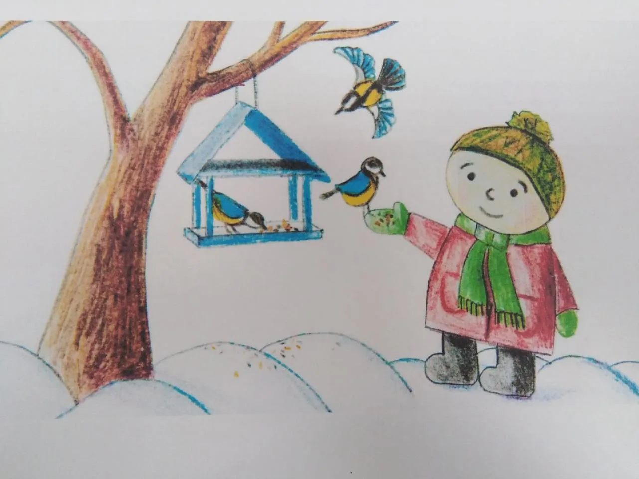 Добрый день! Задание для группы 1.Готовимся к началу акции "Покормите птиц". Графика.