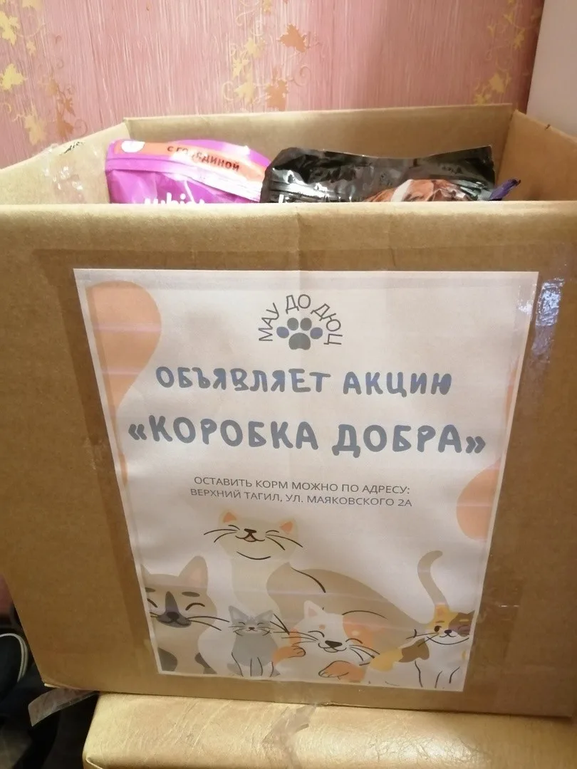 В детско-юношеском центре прошла акция «Коробка добра».